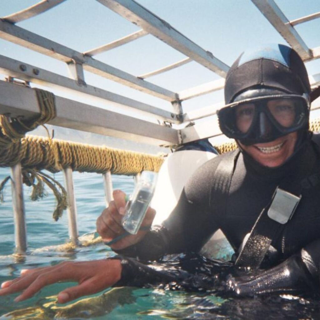 shark cage divers