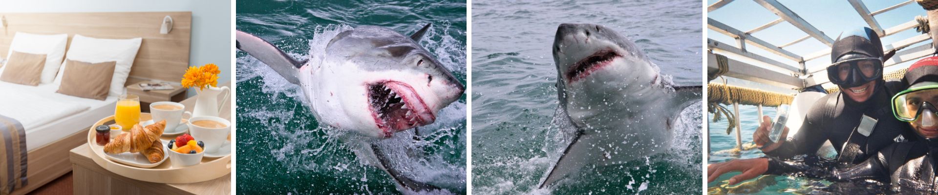 Gansbaai Accommodation - find your perfect stay